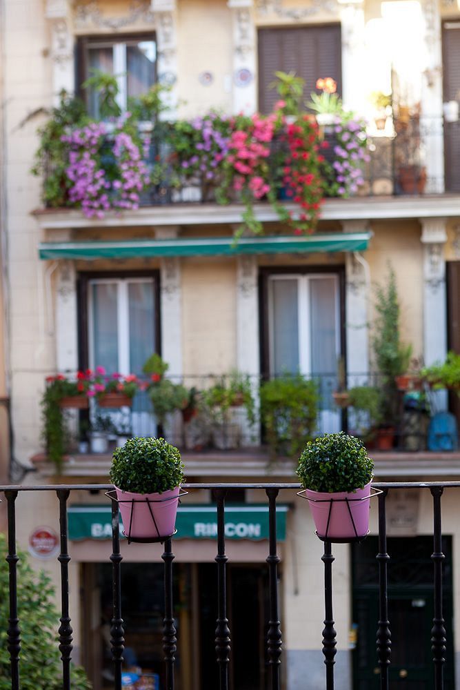 Thc Latina Hostel Madrid Dış mekan fotoğraf